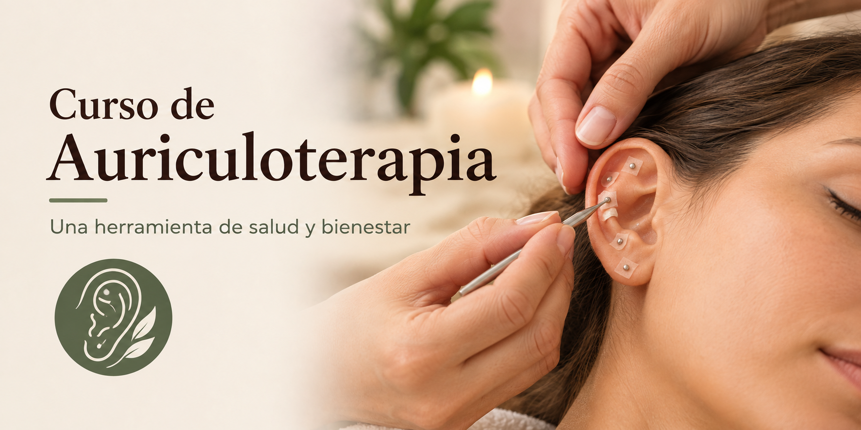 Curso de Auriculoterapia en Santiago (sin kit)